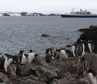Las 13 mejores fotos de un día en Antártica
