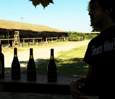 Valle de Cachapoal: naturaleza, historia y vino, mucho vino