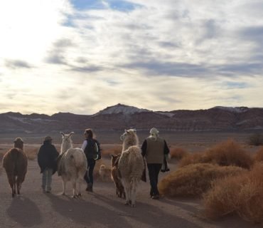 Chile apuesta por impulsar el turismo indígena